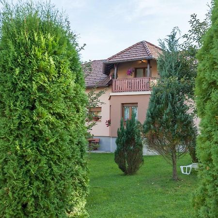 Gornji Vaganac Apartment Ivan & Iva מראה חיצוני תמונה