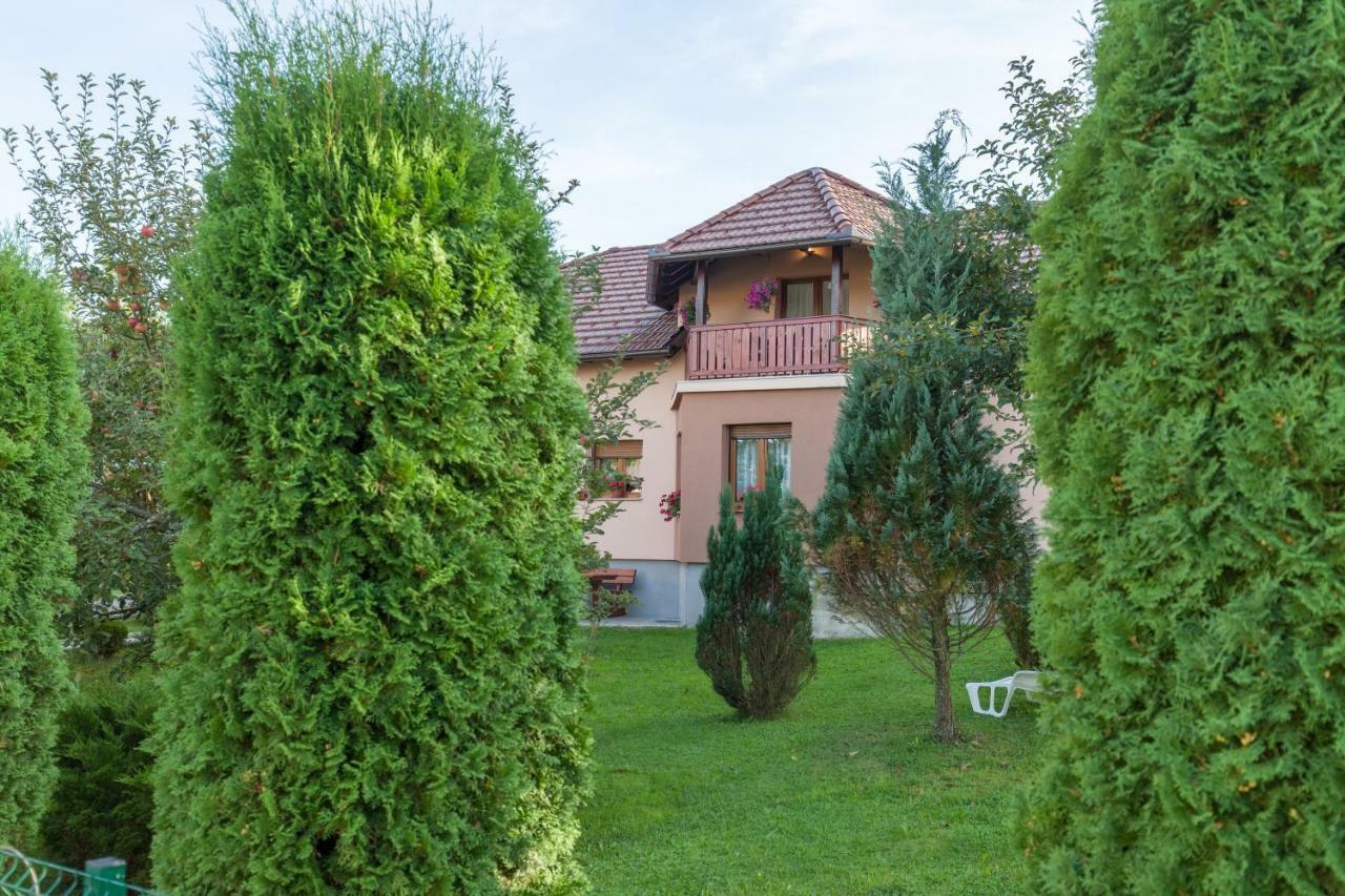 Gornji Vaganac Apartment Ivan & Iva מראה חיצוני תמונה